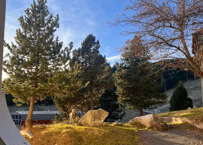 Renove Au Pied Des Pistes Διαμέρισμα